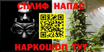 СК Шахты