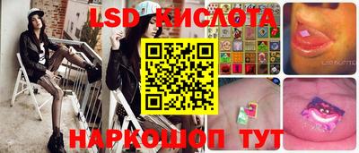 СК Шахты