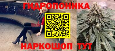 ешки Шебекино