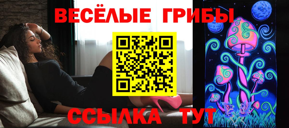 Галлюциногенные грибы Cubensis  Галлюциногенные грибы Cubensis  Шахты  купить наркоту  Вход с VPN 