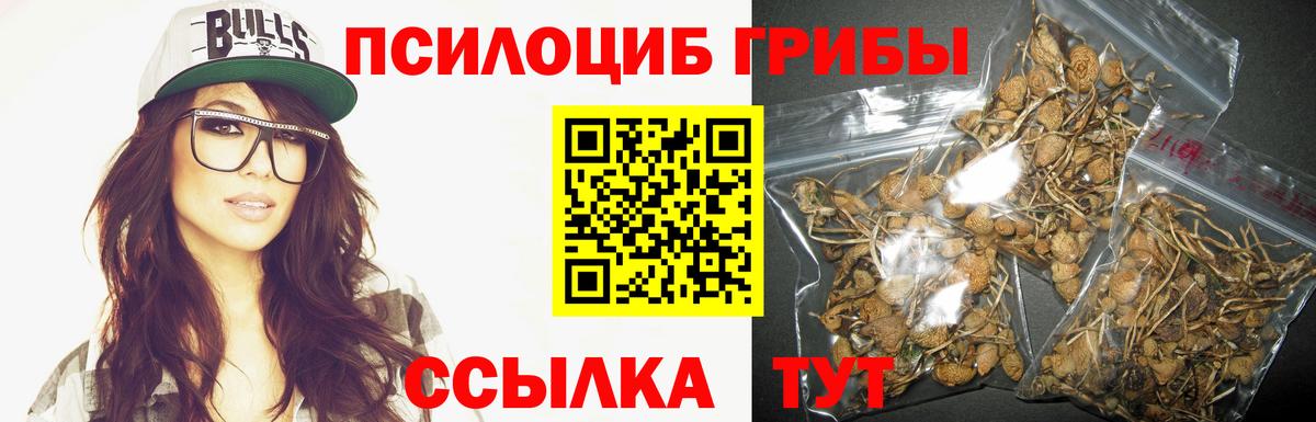 Галлюциногенные грибы Psilocybe Шахты